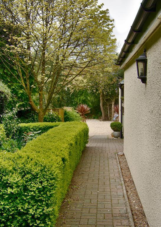 Tumbling Weir Hotel Ottery St Mary Εξωτερικό φωτογραφία