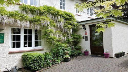 Tumbling Weir Hotel Ottery St Mary Εξωτερικό φωτογραφία